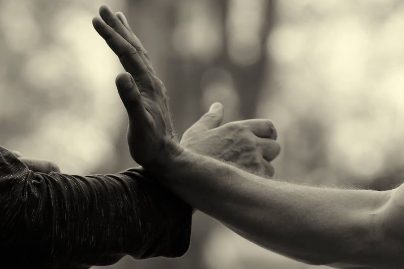 Chen Style Tai Chi at Sunset